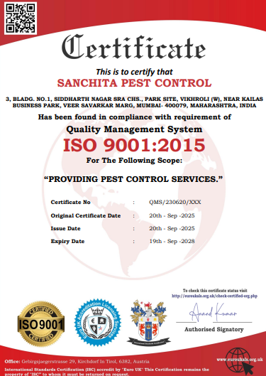 ISO 9001:2015 Certificate